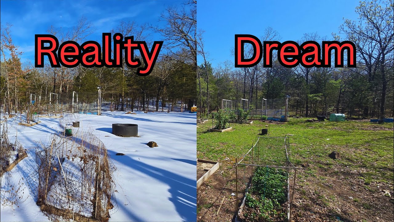 Is It Time to Give Up? (Homestead Reality Check 2026)