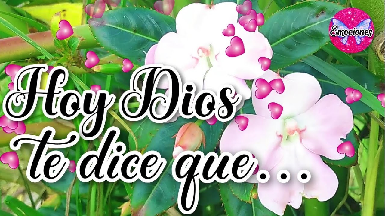 HOY DIOS TE DICE QUE hagas realidad cada uno de tus sueños MENSAJES ...