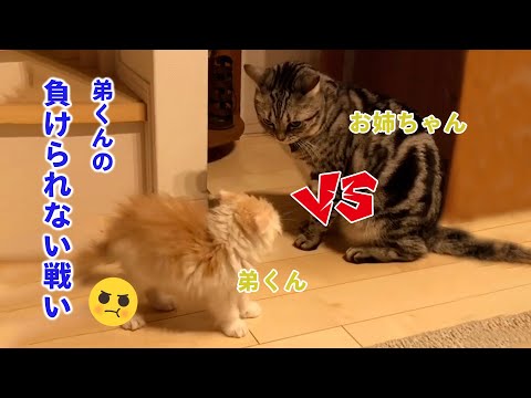 お姉ちゃんに勝負を挑む弟くん