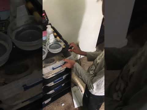 My first born with aggressive zebra carpet python