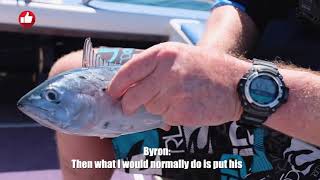 Go Fish Top Tip- Byrons Bonnie Toothpick tip