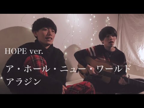 兄弟【ディズニー弾き語り】ア・ホール・ニュー・ワールド/アラジン
