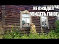 НЕ ОЖИДАЛ УВИДЕТЬ ТАКОЕ В ЗАБРОШЕННОМ ДОМЕ / Russian Digger