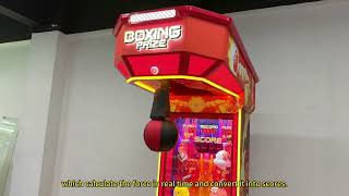 Neofuns Boxing Prize Punching Machine Appearance