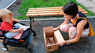 VLOG: Как я спасла котенка