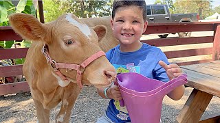 Caleb Goes to the Farm with ANIMALS! FEEDING BaBY COWS, PIGS, HORSES at the PETTING ZOO with MOMMY!
