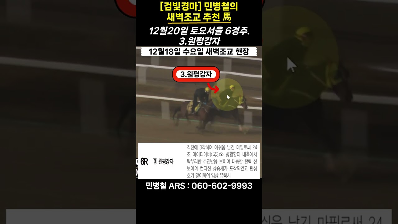 #12월20일 토요일!민병철의 새벽조교 우수馬!