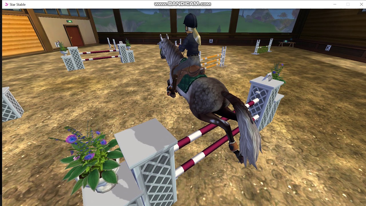 Show Jumping music video YouTube