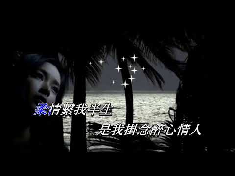 情繫半生   張學友〈演唱版〉