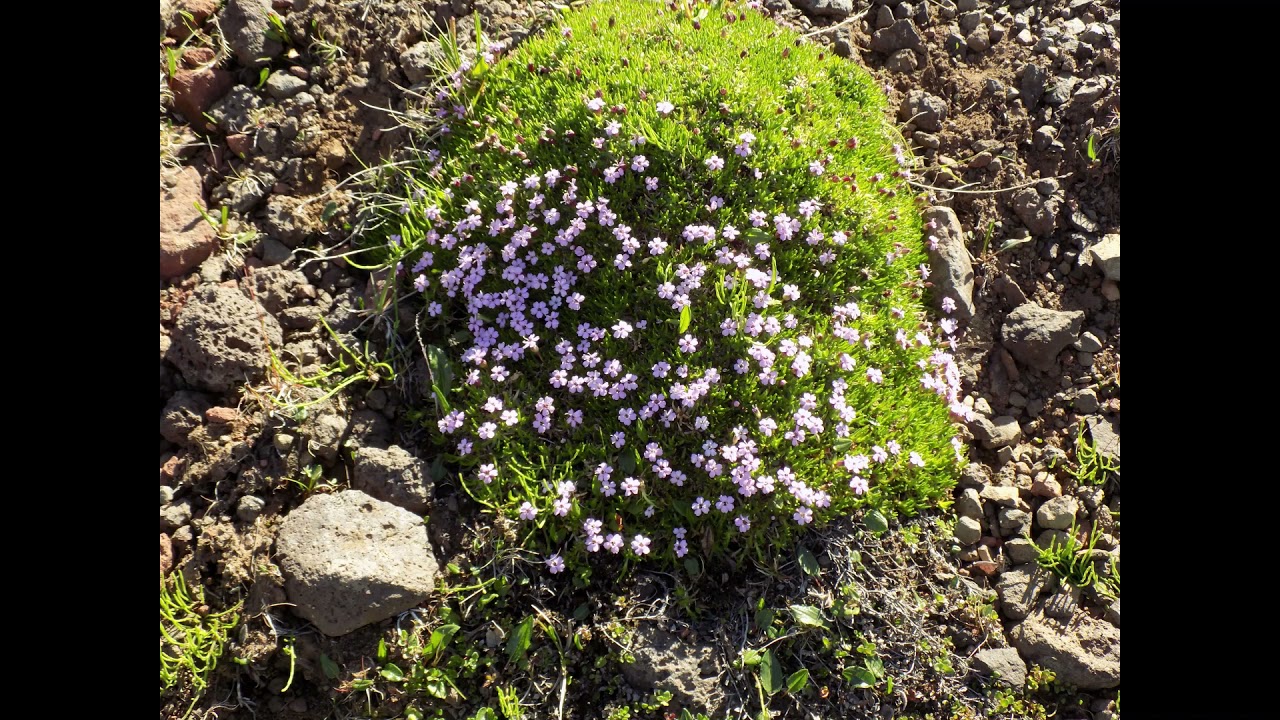 Oxi Pass and Breiddalur Valley