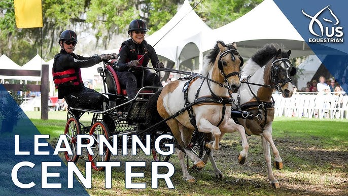 Special Feature: Mic'd Up with Jacob Arnold at the #USADriving Adv. Pair  Horse Nat'l Championships 