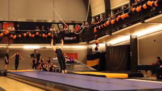 Ollerup Open 2014 - Yng.Asp.Rep. Spring. - Holstebro Rep