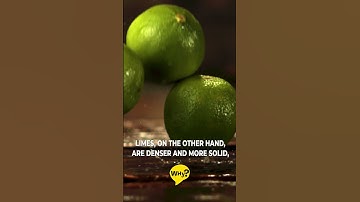 Why Do Lemons Float but Limes Sink?