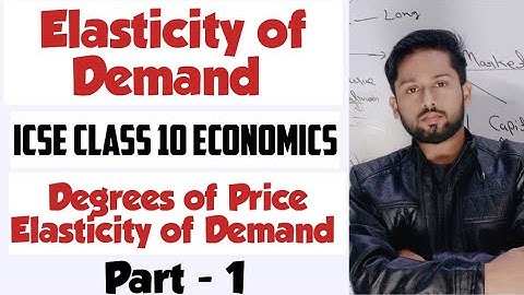 Elasticity of Demand Class 10 Icse | Price Elasticity of Demand| ICSE Economics Class 10 |