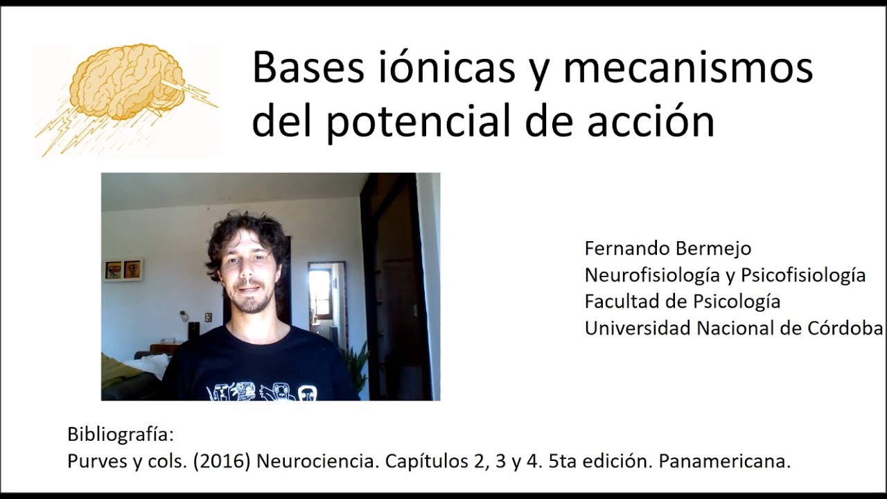 CLASE 3 Parte 1 de 2 'Bases iónicas y mecanismos del potencial de acción'