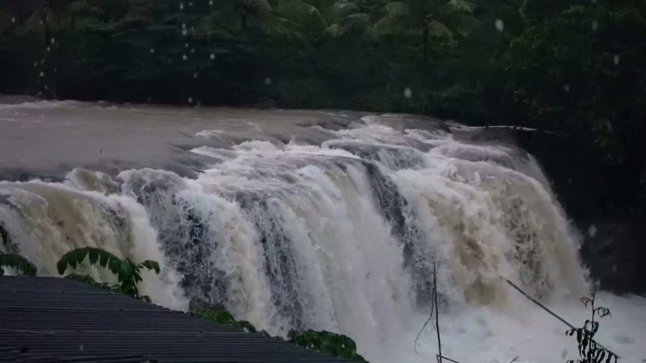 Listen & Sleep Immediately with Heavy Downpour Rain & Massive Thunder Sounds in Rainforest at Night