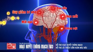 Hoạt Huyết Thông Mạch Tw3