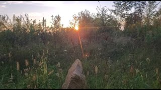 Equinox Stone Circle Update