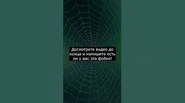 Тест на Арахнофобию | Боязнь ПАУКОВ