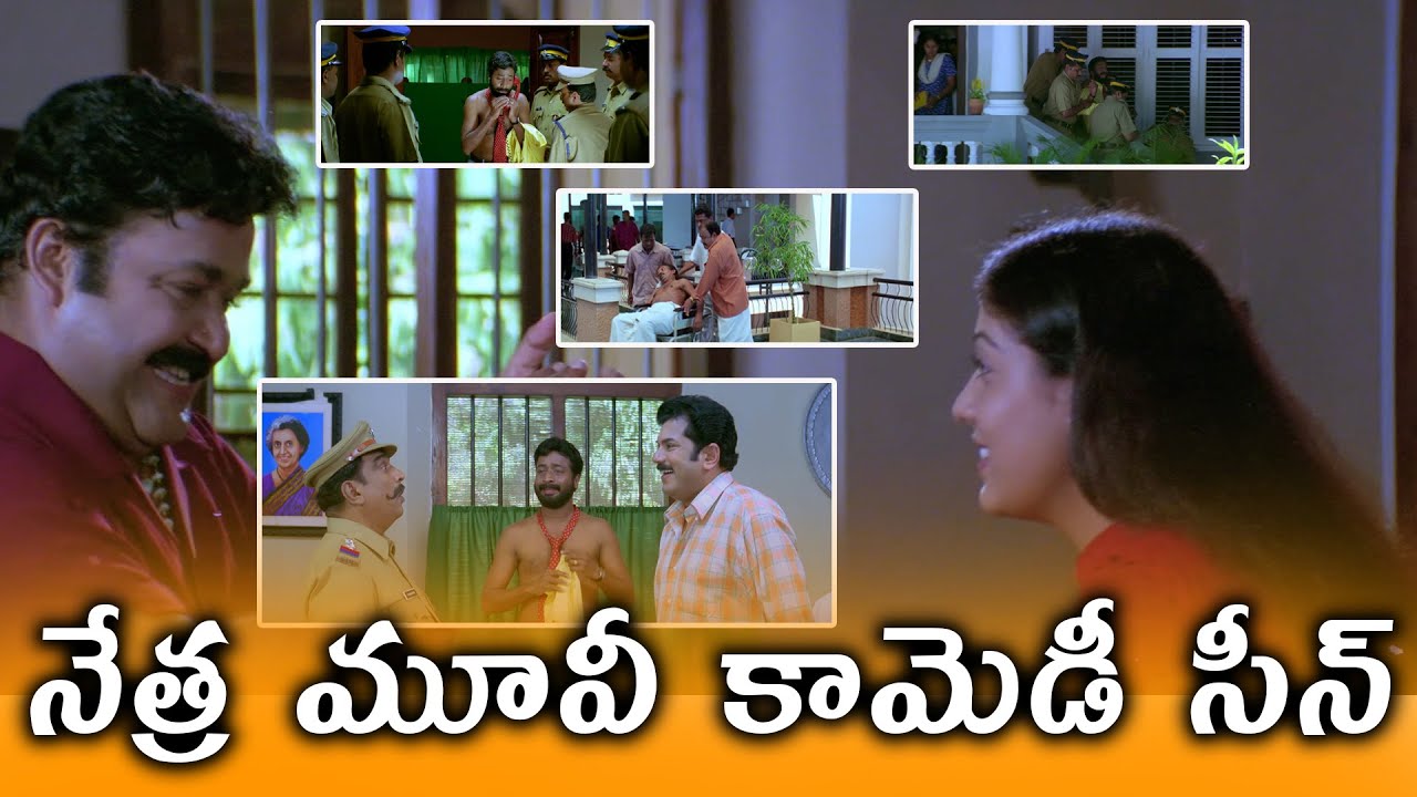 Mohan Lal  Nayanthara Comedy Scenes |Nethra Movie Comedy Scenes | Nayanthara | Meena | TVNXT Comedy