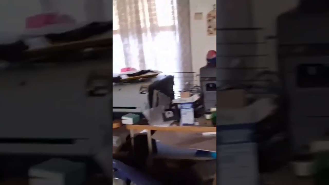 Кошки и принтеры