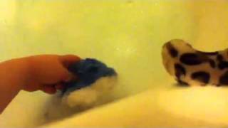 Webkinz Bath Time!