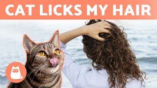 Why Does My CAT LICK my HAIR?  (3 Reasons Cats Groom Humans)