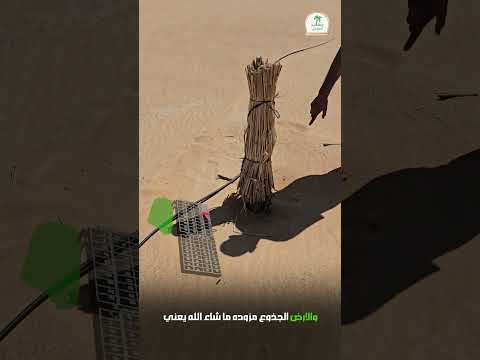 تسليم مزرعة نخل مجدول 1 25 فدان ا هدى شعراوي فى بشاير الشوربجى 