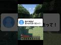 見つけるまで走る奴2 #マイクラ #shorts #fyp