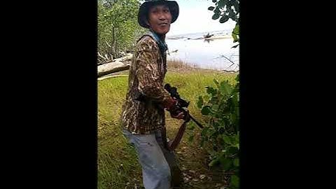 Berburu belibis di muara.