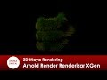 3D Maya 304 Rendering Arnold Render Renderizar XGen