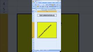 Text Orientation In Microsoft Excel. #excel #exceltips #exceltricks #exceltutorial