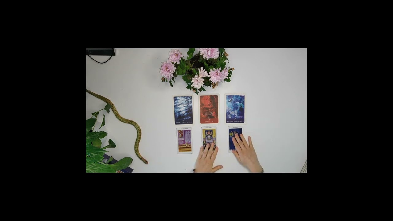 Tarot-viesti - Levon kautta voittoon