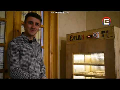 ჩირის საშრობი ,,ენლილი1\"