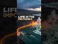 Extremophiles: Earth's Toughest Survivors Reveal Alien Secrets