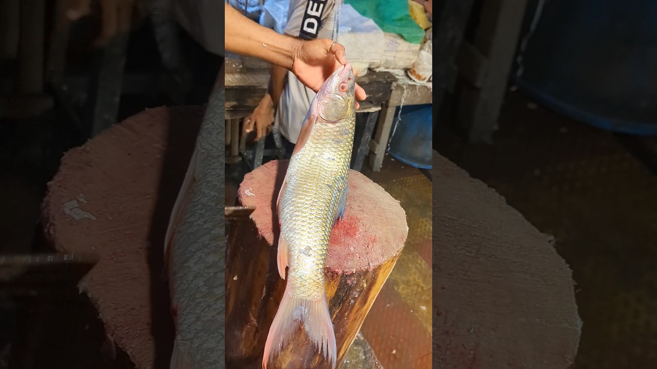 Amazing Giant Mrigal Fish Cutting Skills In Bangladesh Local Fish Market 