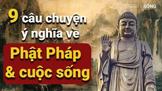 9 câu chuyện hay và ý nghĩa về Phật Pháp và cuộc sống