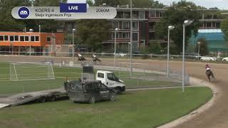 Vidéo de la course PMU MEIJS INGENIEURS PRIJS