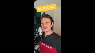 Ek Dil Ek Jaan - Unplugged - Padmavat #songs #shorts