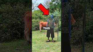 How is this possible? 🤔