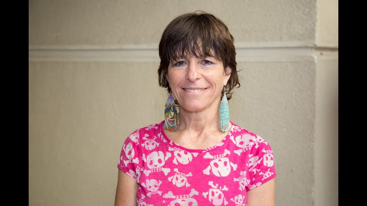 senado reforma da previdencia Diputada Cristina Girardi analiza acciones de mitigación de efectos del cambio climático