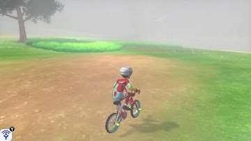 How To Change The Weather In Pokemon Sword & Shield
