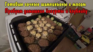 РЕЦЕПТЫ ФАРШИРОВАННЫХ МЯСОМ ШАМПИНЬОНОВ И ГРИБНЫХ КОТЛЕТ / ДЕГУСТАЦИЯ ДОМАШНИХ ЙОГУРТОВ И КЛУБНИКИ