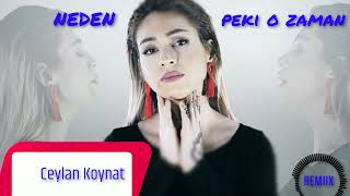 Ceylan Koynat Remix  Neden   Peki O Zaman Resimi