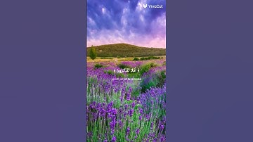 🌷لا تهرب من القرآن الكريم 🌷