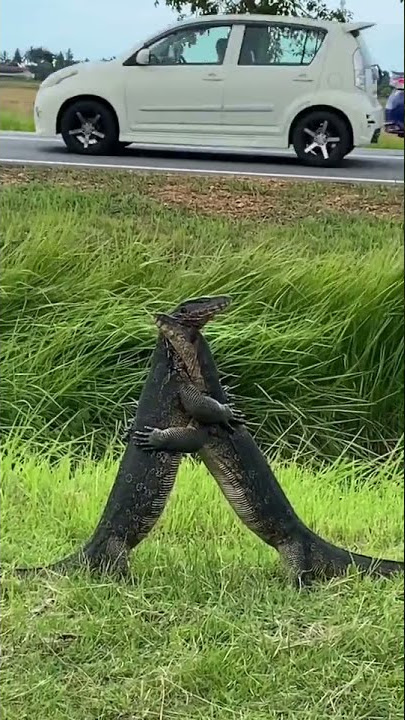 Story' wa Serasa Dunia Milik Berdua yang Lain mah Ngontrak