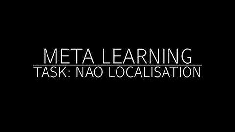 NAO Localization