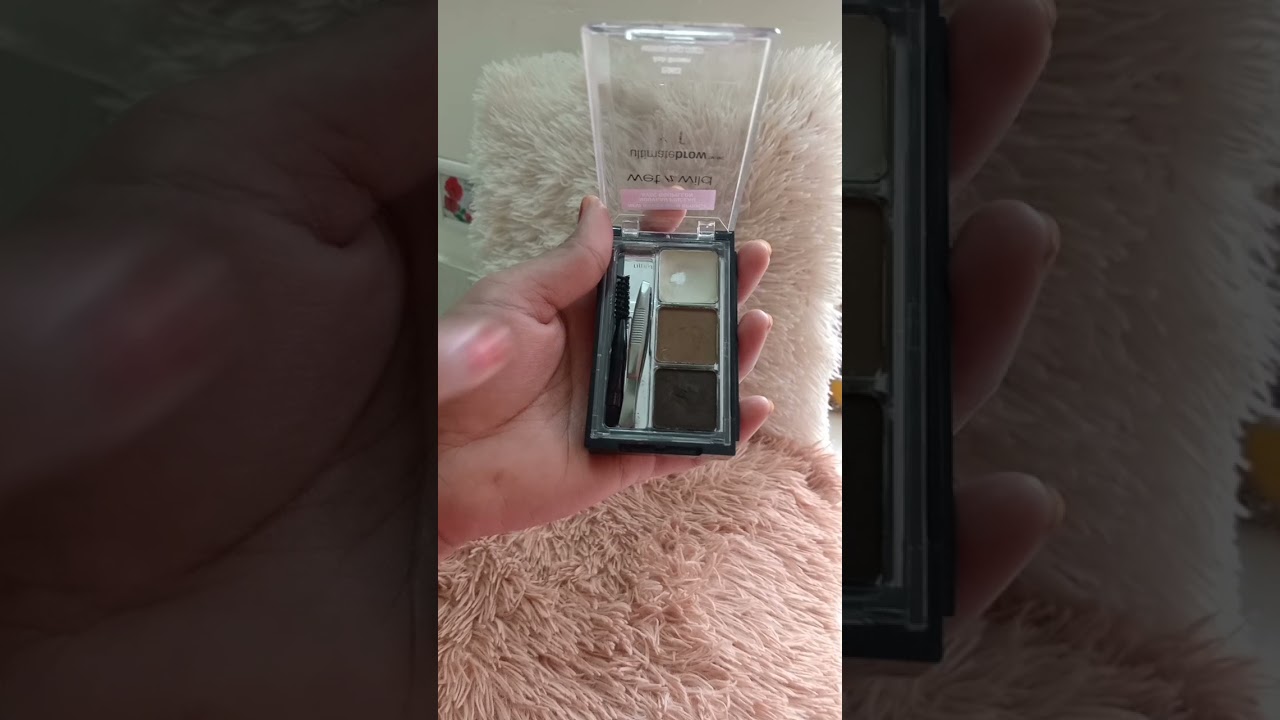 Wet n wild ultimate brow kit