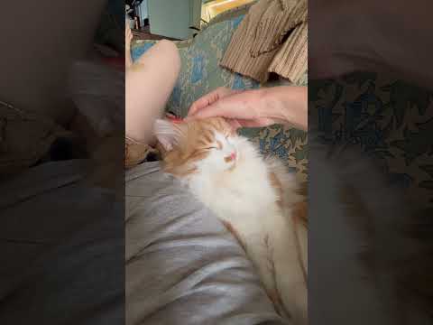 КАК можно просто
