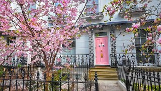 London’s Cutest Pink Door 🌸 Bayswater to Notting Hill, London Spring Walk 2024 [4K] by Watched Walker 11,448 views 1 month ago 23 minutes